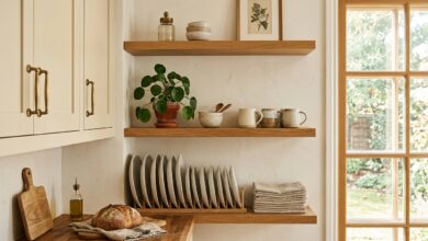 Styled open shelf with white ceramic plates and a potted plant in a sunlit kitchen